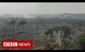 Amazon fire ban - BBC News