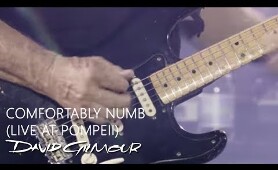 David Gilmour - Comfortably Numb (Live At Pompeii)