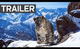 Planet Earth II: Official Extended Trailer | BBC Earth