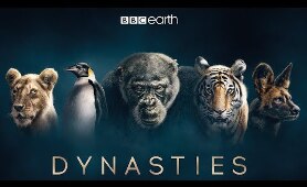 Dynasties: First Look Trailer | New David Attenborough Series | BBC Earth