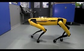 Hey Buddy, Can You Give Me a Hand?