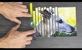 17 Amazing Experiments and Tricks! Compilation