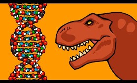 What is DNA and How Does it Work?