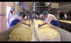 Cheese Making Process