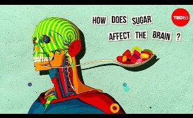 How sugar affects the brain - Nicole Avena