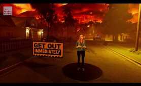 How Wildfires Spread | IMR